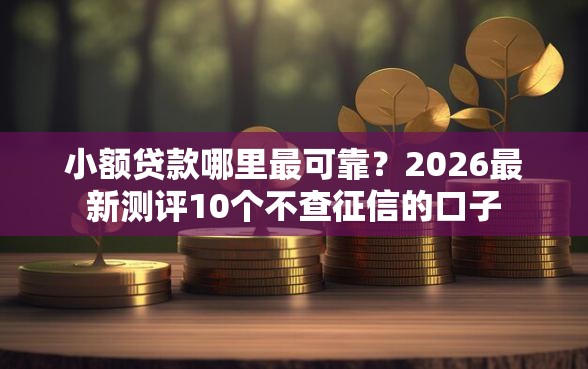 小额贷款哪里最可靠？2026最新测评10个不查征信的口子