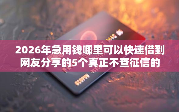 2026年急用钱哪里可以快速借到网友分享的5个真正不查征信的贷款口子我觉得不错！