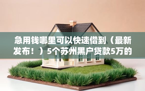 急用钱哪里可以快速借到（最新发布！）5个苏州黑户贷款5万的app