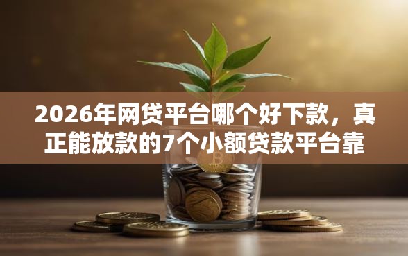 2026年网贷平台哪个好下款，真正能放款的7个小额贷款平台靠谱推荐