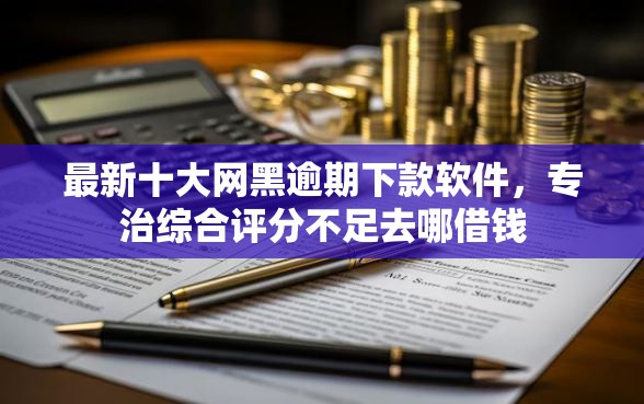 最新十大网黑逾期下款软件，专治综合评分不足去哪借钱