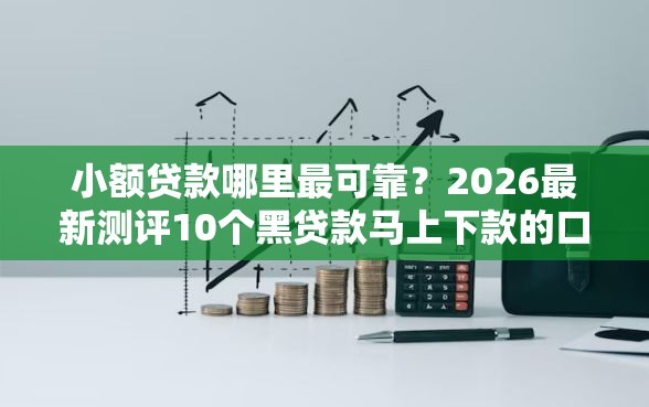 小额贷款哪里最可靠？2026最新测评10个黑贷款马上下款的口子2025