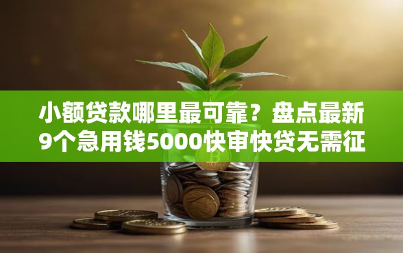 小额贷款哪里最可靠?盘点最新9个急用钱5000快审快贷无需征信平台 小额贷款哪里最可靠?盘点最新9个急用钱5000快审快贷无需征信平台