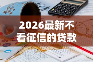 2026最新不看征信的贷款平台，总结十个16岁贷款平台！