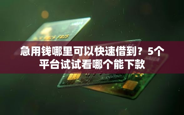 急用钱哪里可以快速借到？5个平台试试看哪个能下款