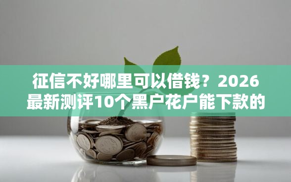 征信不好哪里可以借钱？2026最新测评10个黑户花户能下款的平台